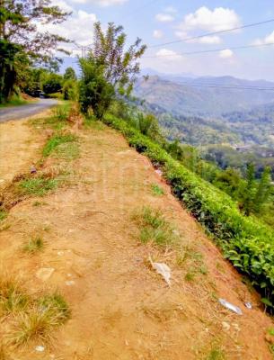 Commercial Land for Sale in Kotmale