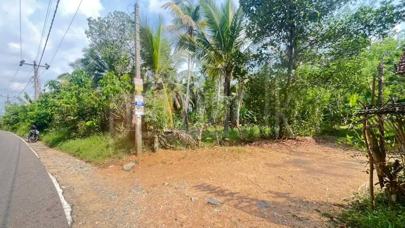 Commercial Land for Sale in Ja-Ela