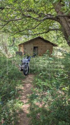 premium-listing-image