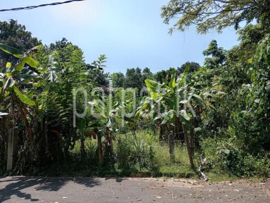 premium-listing-image