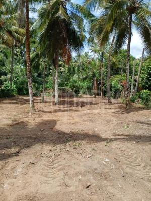 Residential Land for Sale in Athurugiriya