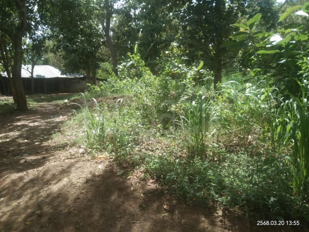 Agricultural Land for Sale in Lunugamwehera