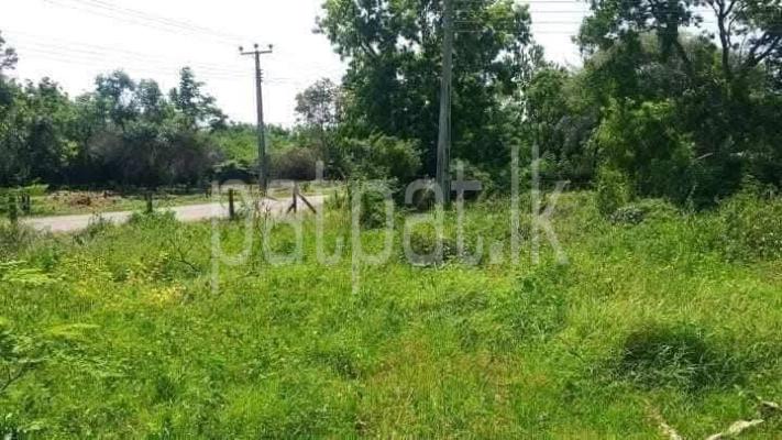 Residential Land for Sale in Kataragama