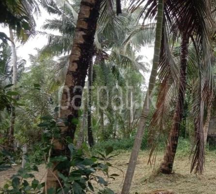 Residential Land for Sale in Minuwangoda