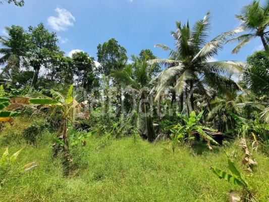 premium-listing-image