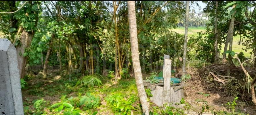 Residential Land for Sale in Malabe