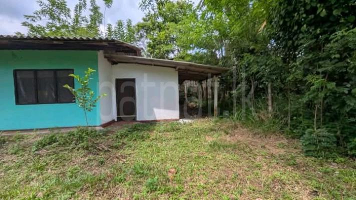 Commercial Land for Sale in Gampaha
