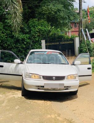Toyota Corolla 1998 - භාවිතා කරන ලද කාර් sale in Sri Lanka - patpat.lk