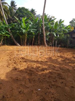 premium-listing-image