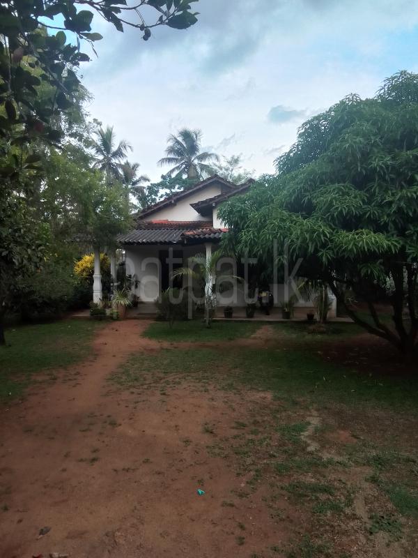 House for Sale in Galewela