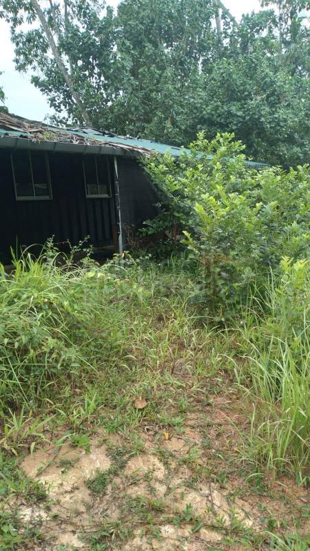 Residential Land for Sale in Mirissa