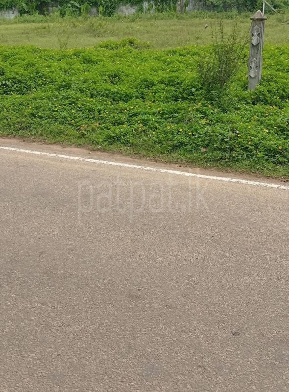 Residential Land for Sale in Horana
