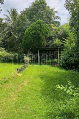 premium-listing-image