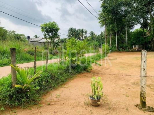 premium-listing-image