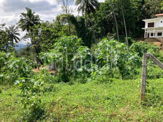 Residential Land for Sale in Peradeniya