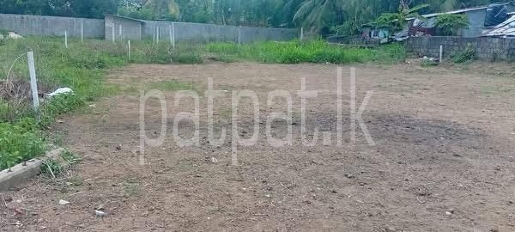 Agricultural Land for Sale in Delgoda