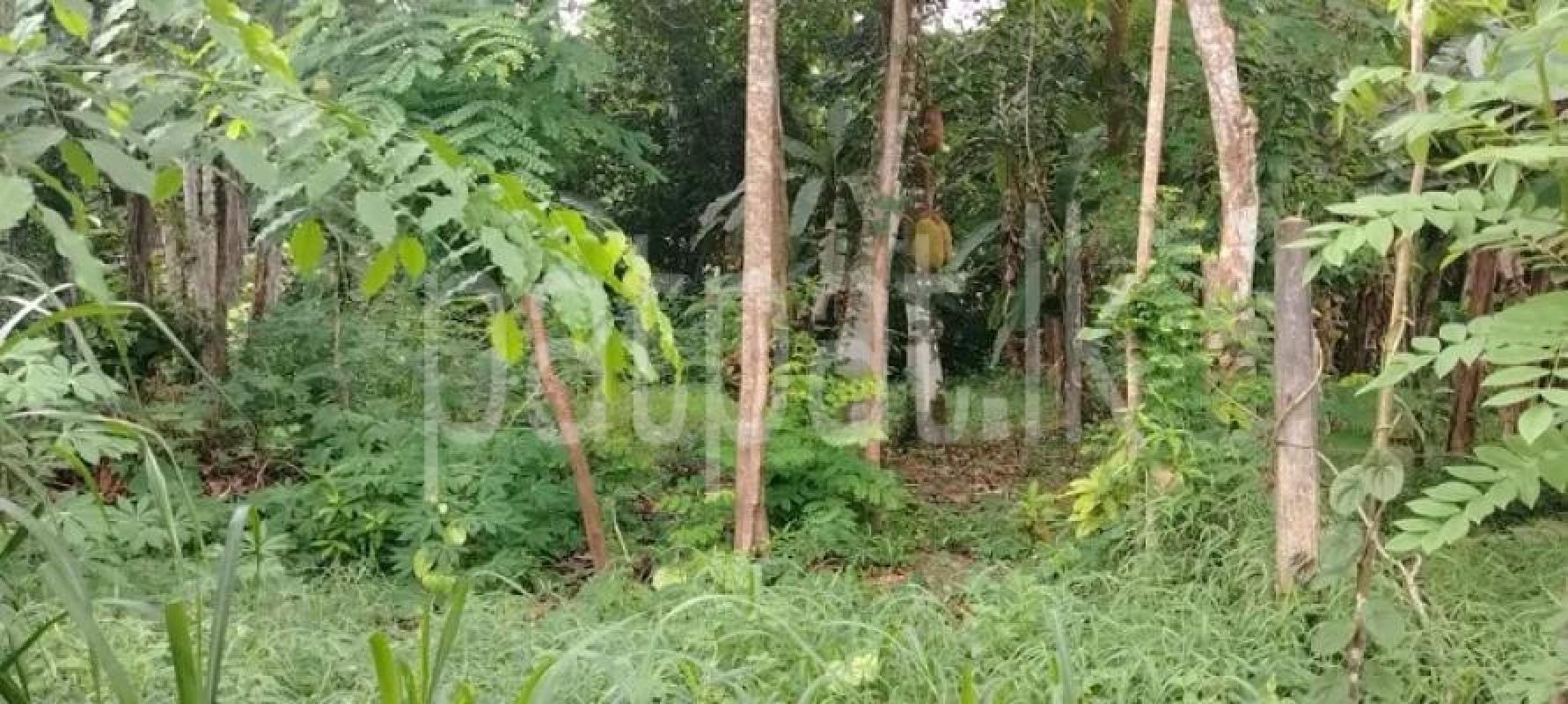 Residential Land for Sale in Veyangoda