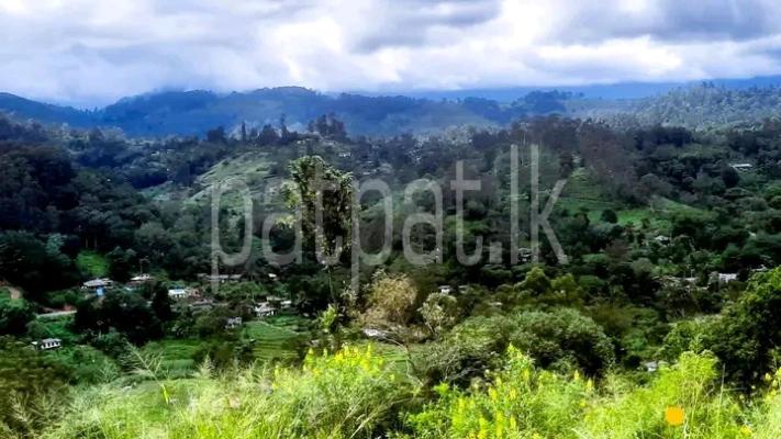 premium-listing-image