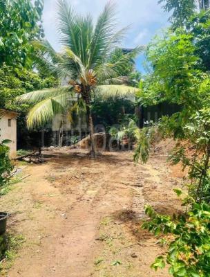 premium-listing-image