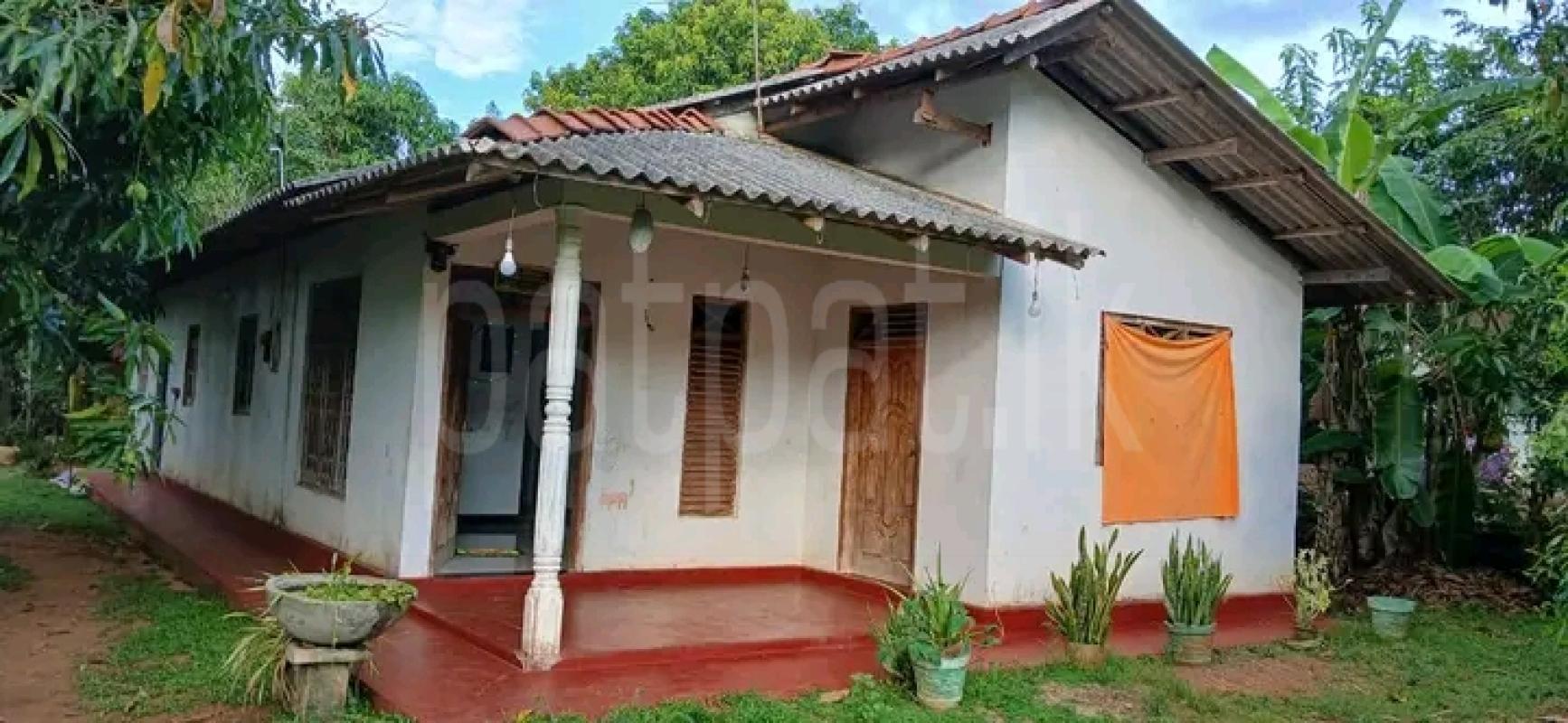 Commercial Land for Sale in Embilipitiya