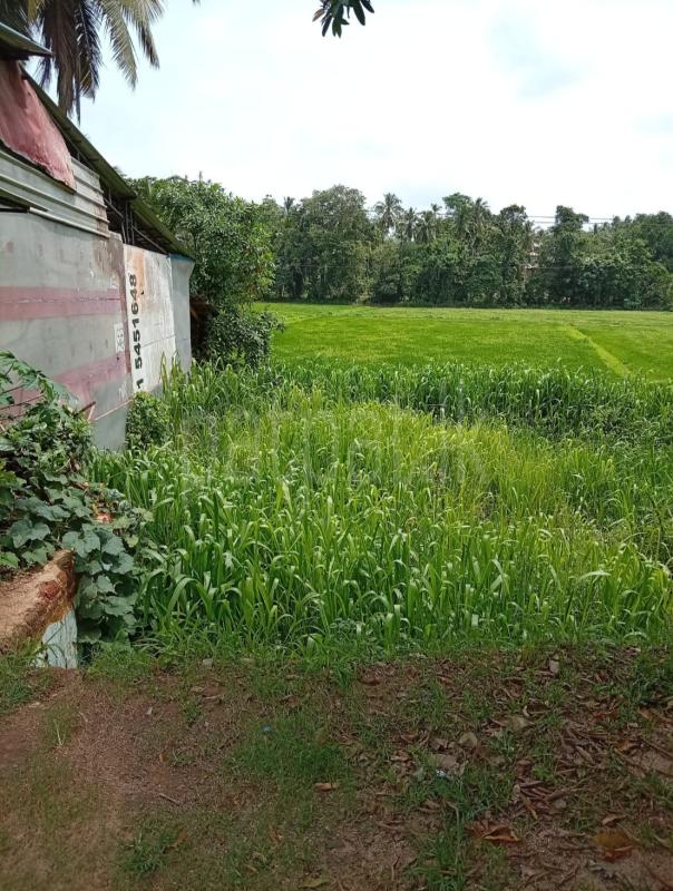 Commercial Land for Sale in Yakkala