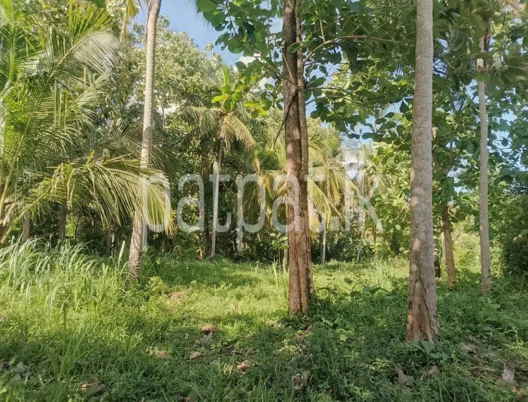 Agricultural Land for Sale in Polgahawela