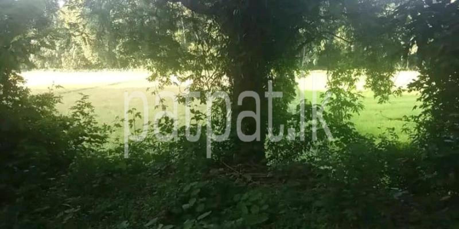 Commercial Land for Sale in Mirigama