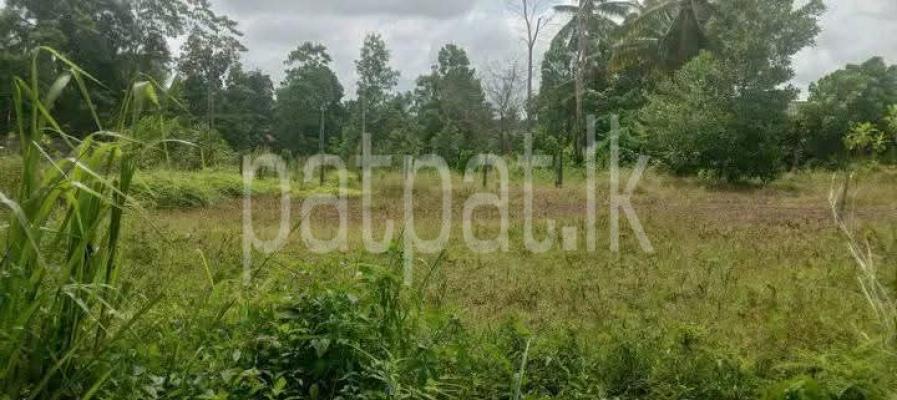 premium-listing-image