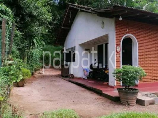 premium-listing-image