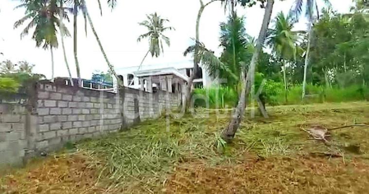 premium-listing-image