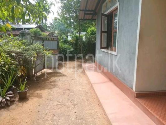 premium-listing-image