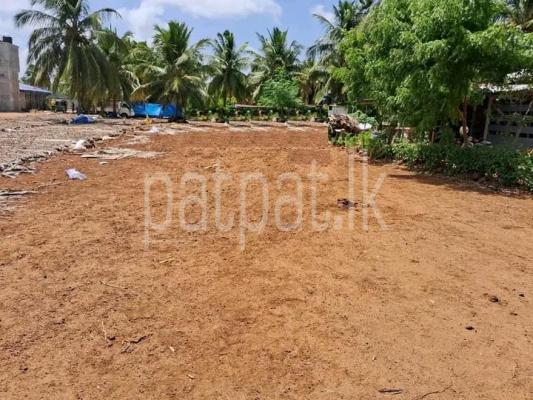 premium-listing-image