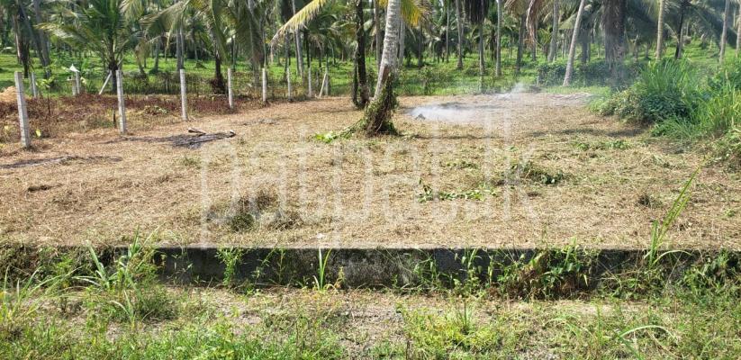 premium-listing-image