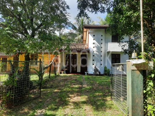 premium-listing-image