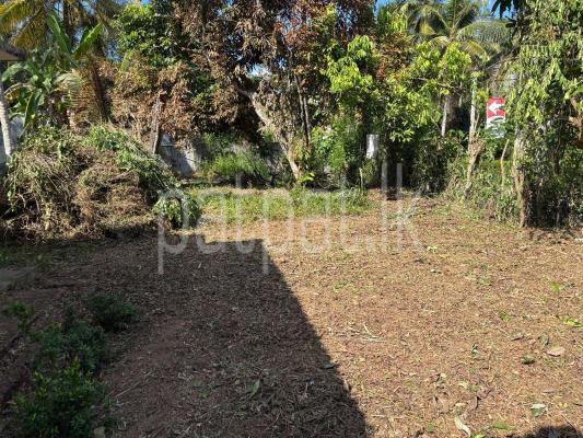  Land for Sale in Nittambuwa