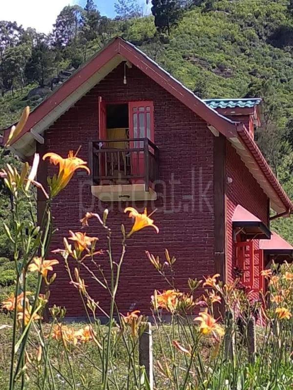 Commercial Land for Sale in Hewaheta