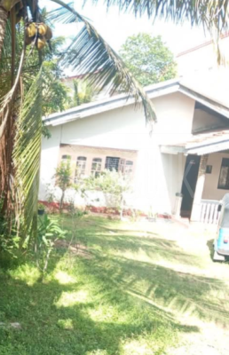 premium-listing-image