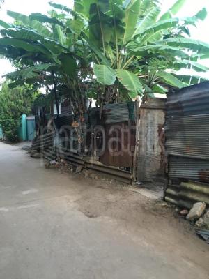 premium-listing-image