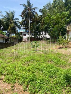 premium-listing-image