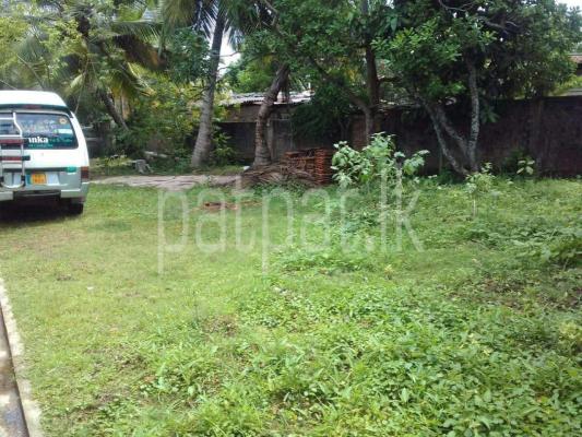 premium-listing-image