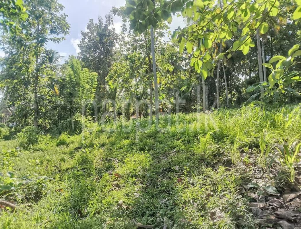Commercial Land for Sale in Weeraketiya