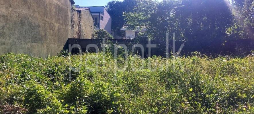 premium-listing-image