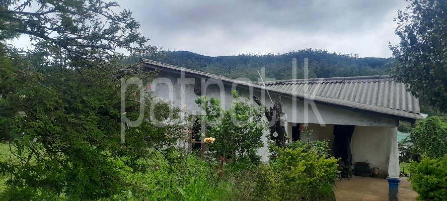 House for Sale in Kandy