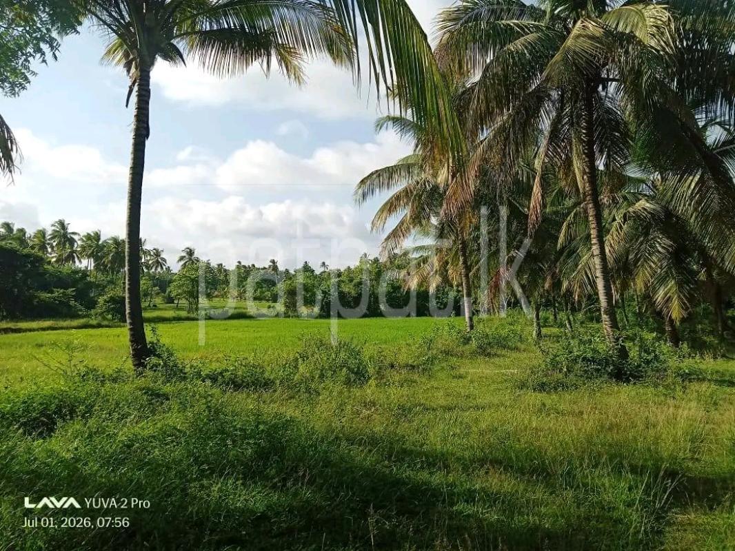 Agricultural Land for Sale in Mawathagama