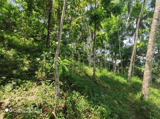 Commercial Land for Sale in Avissawella