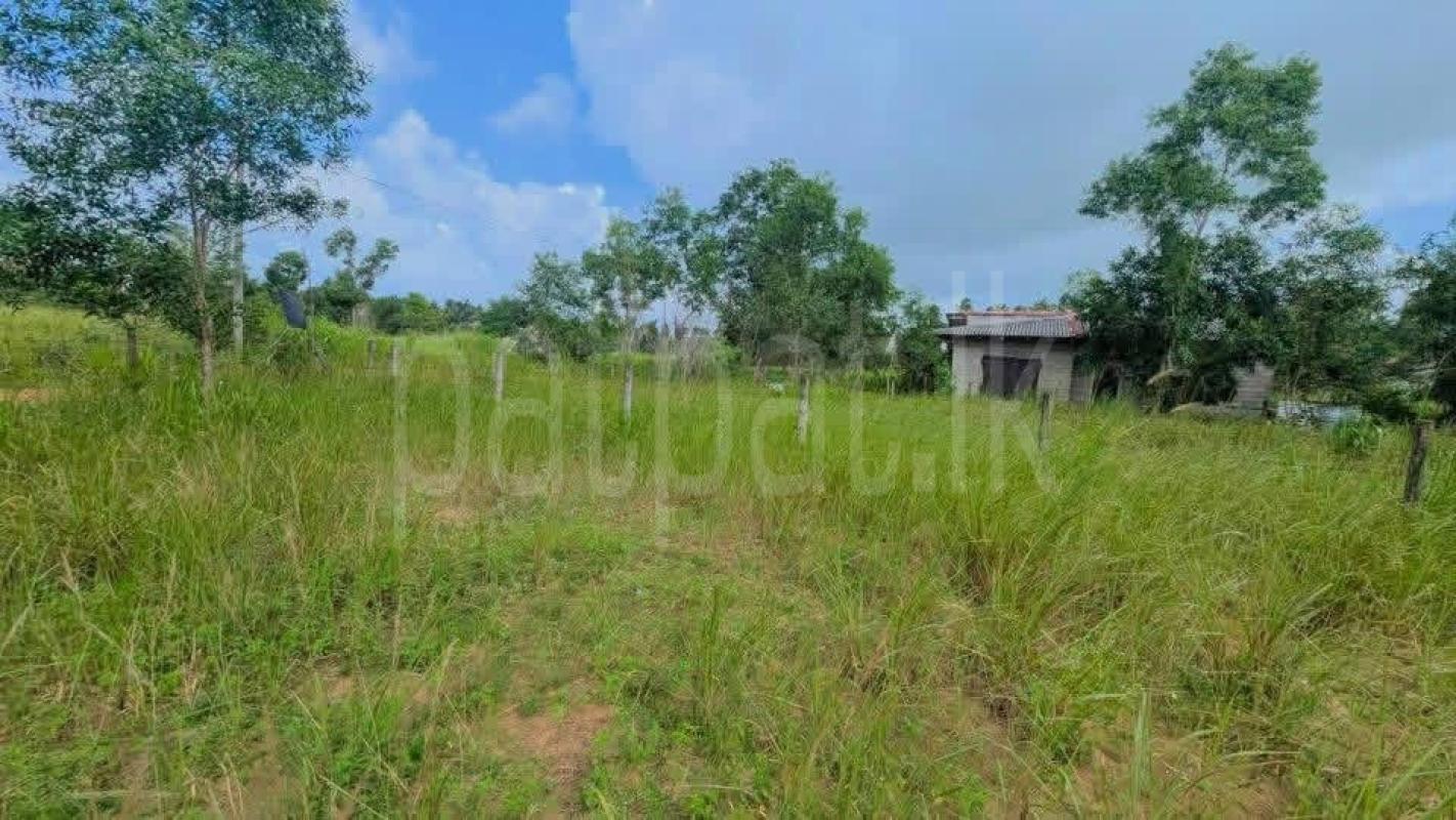 Residential Land for Sale in Divulapitiya