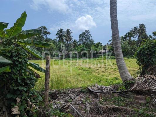 premium-listing-image