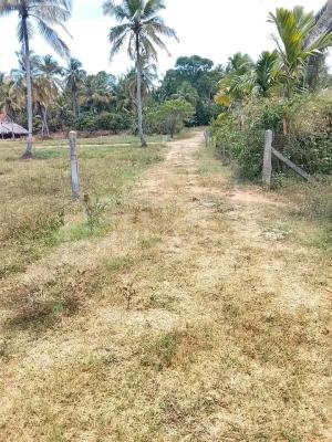 Residential Land for Sale in Kurunegala