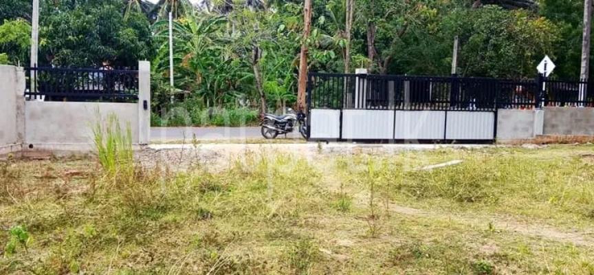 premium-listing-image