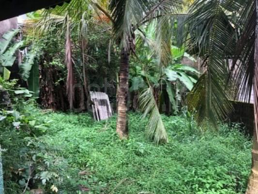 Residential Land for Sale in Talawatugoda